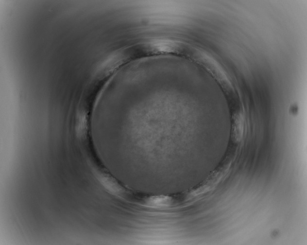 X0000102390410200808151925