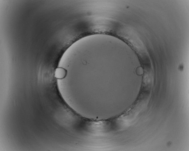 X0000102390411200808151925