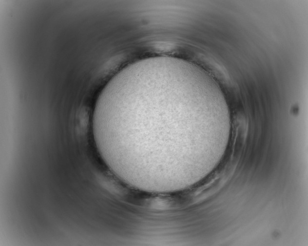 X0000102390412200808151925