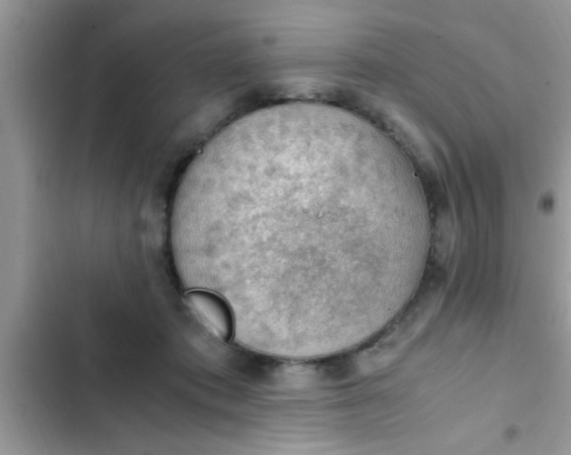 X0000102390413200808151925