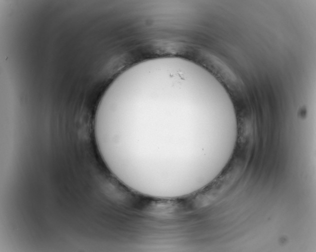 X0000102390414200808151925