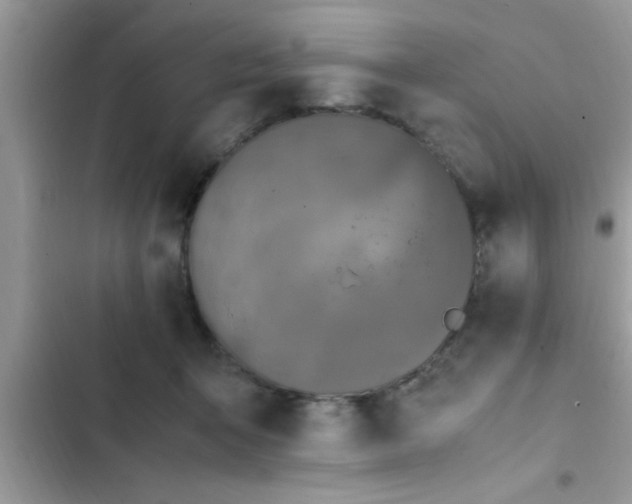 X0000102390415200808151925