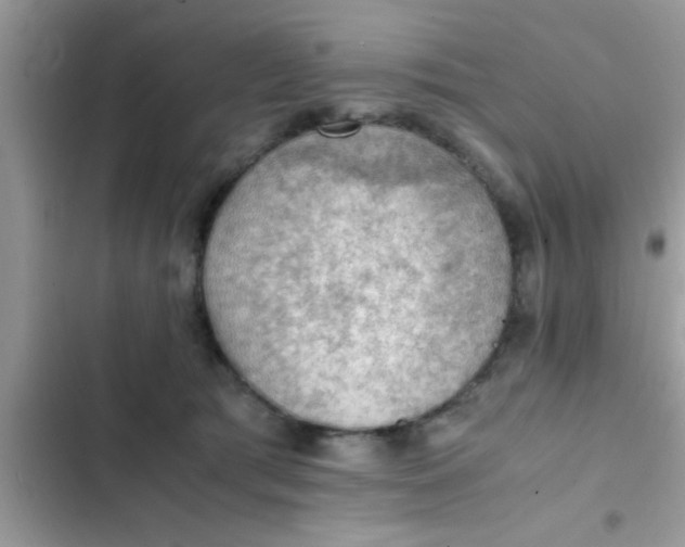 X0000102390417200808151925