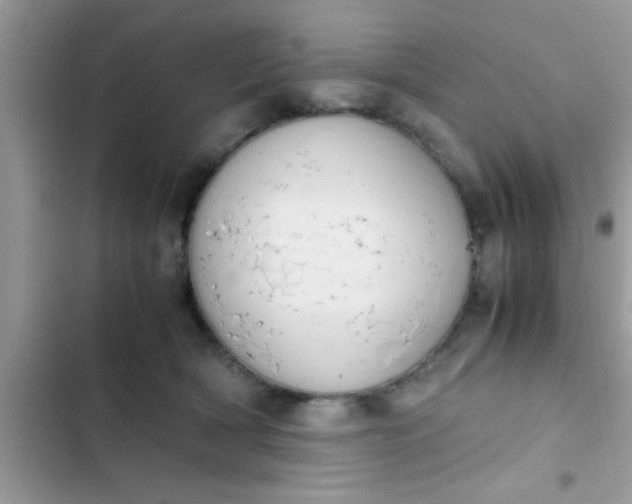 X0000102390418200808151925