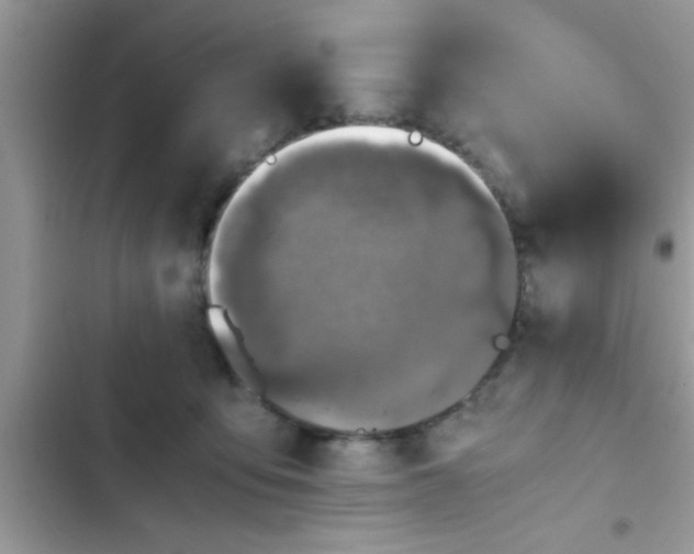 X0000102390419200808151925