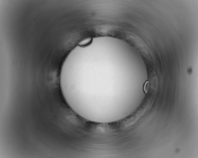 X0000102390420200808151925