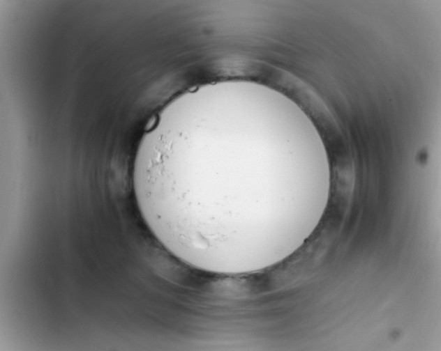 X0000102390422200808151925