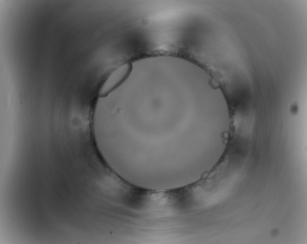 X0000102390423200808151925