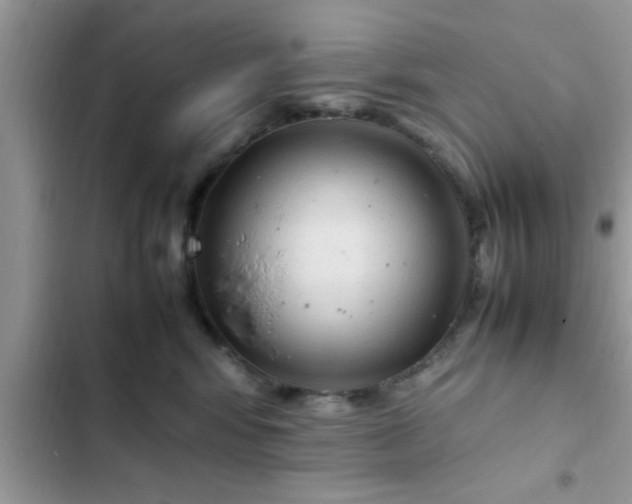 X0000102390424200808151925