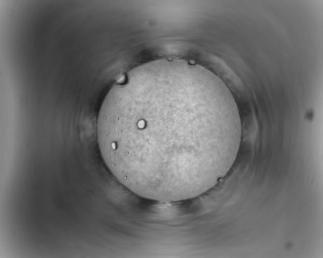 X0000102390425200808151925