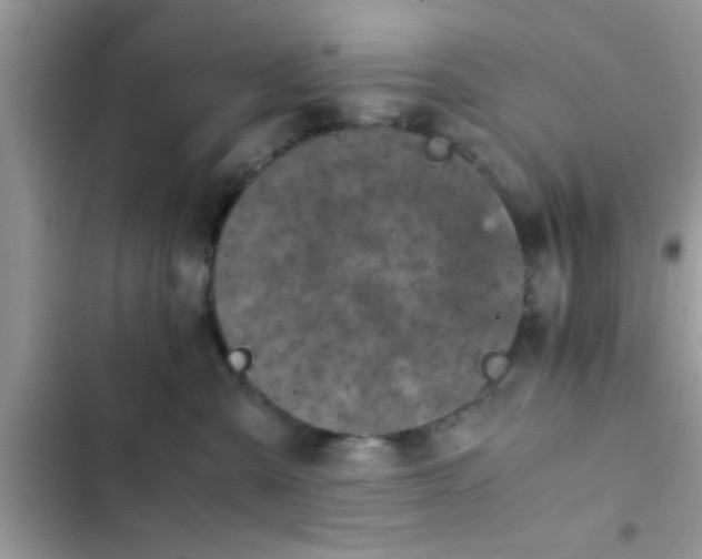 X0000102390427200808151925