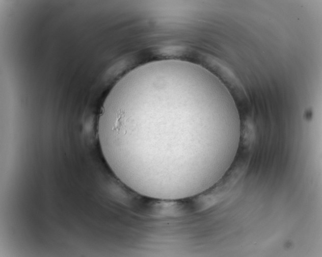 X0000102390428200808151925