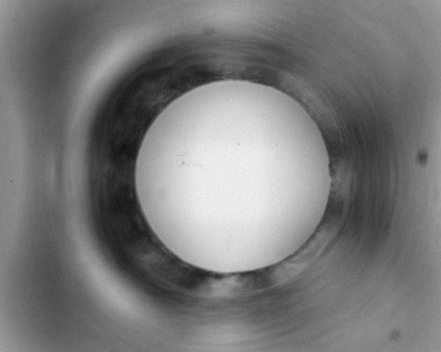 X0000102390430200808151925