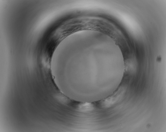 X0000102390431200808151925