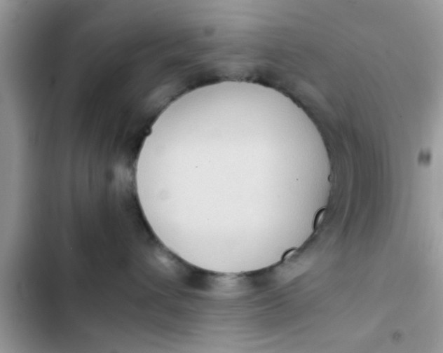 X0000102390432200808151925