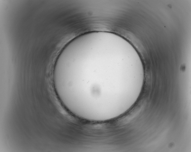 X0000102390433200808151924