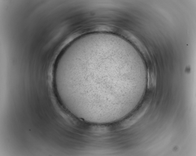 X0000102390435200808151924