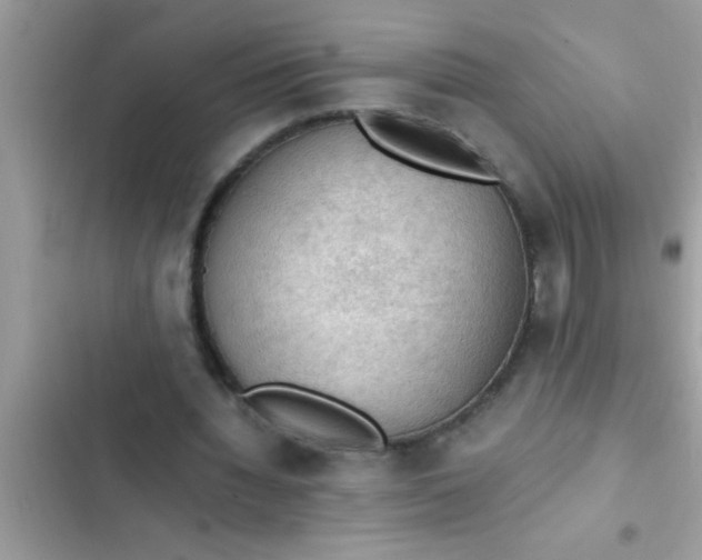 X0000102390436200808151924