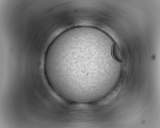 X0000102390437200808151924