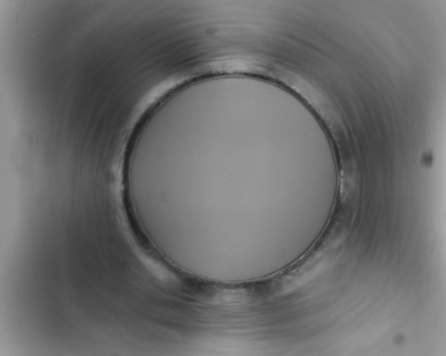 X0000102390438200808151924