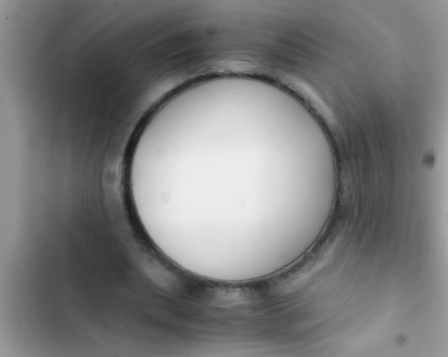 X0000102390439200808151924