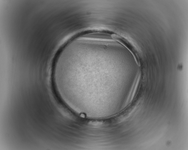 X0000102390440200808151924