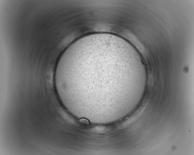 X0000102390441200808151924