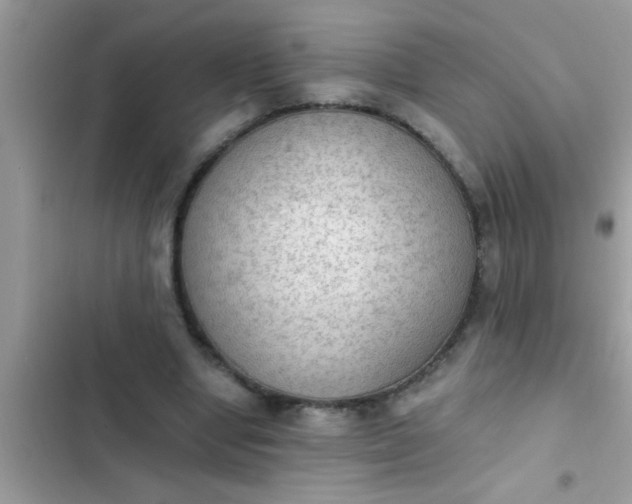 X0000102390442200808151924