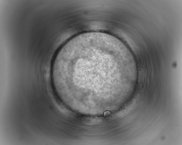 X0000102390443200808151924