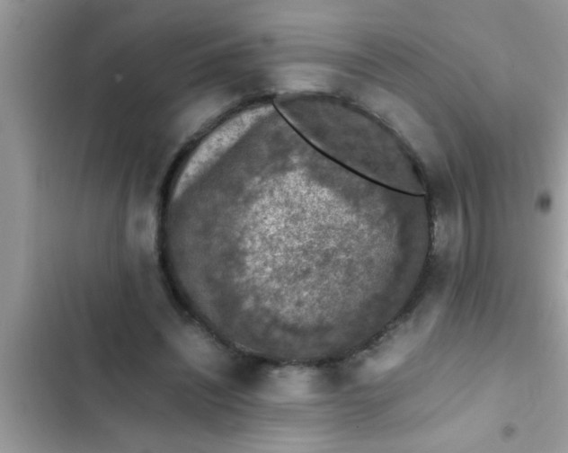 X0000102390444200808151924