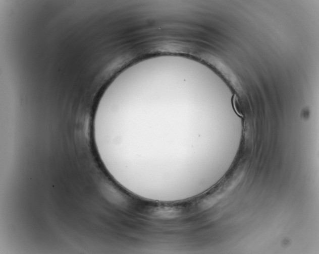 X0000102390445200808151924