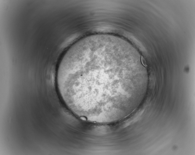 X0000102390446200808151924