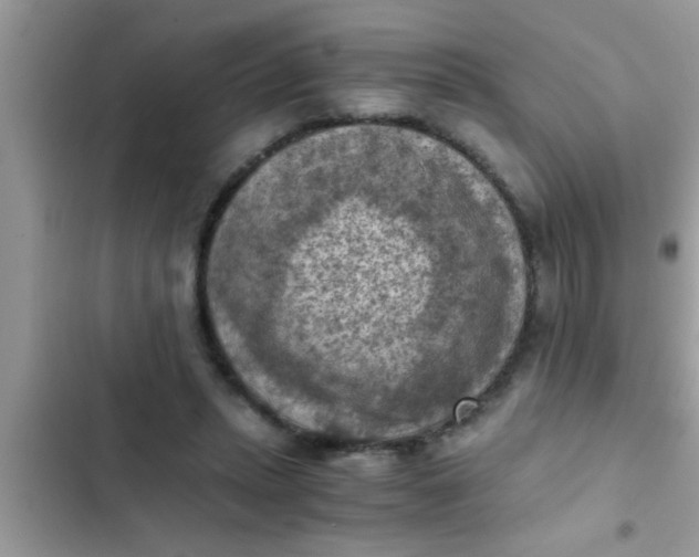 X0000102390447200808151924