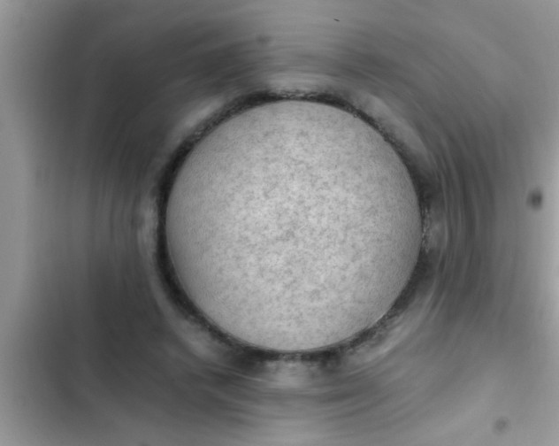 X0000102390448200808151924