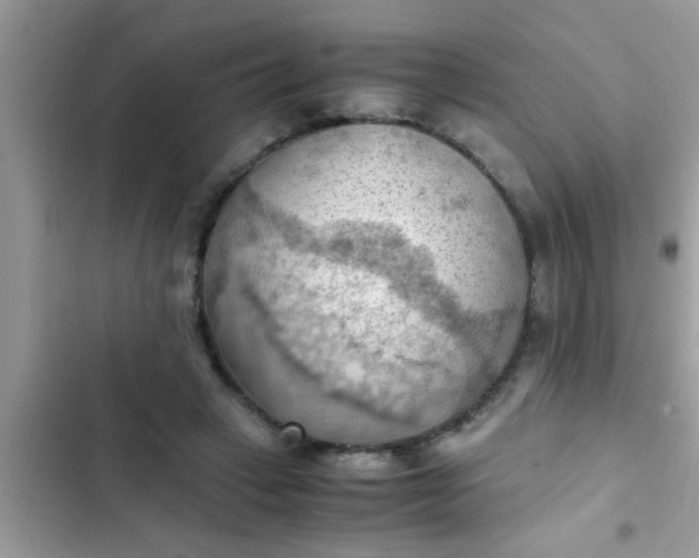 X0000102390449200808151924