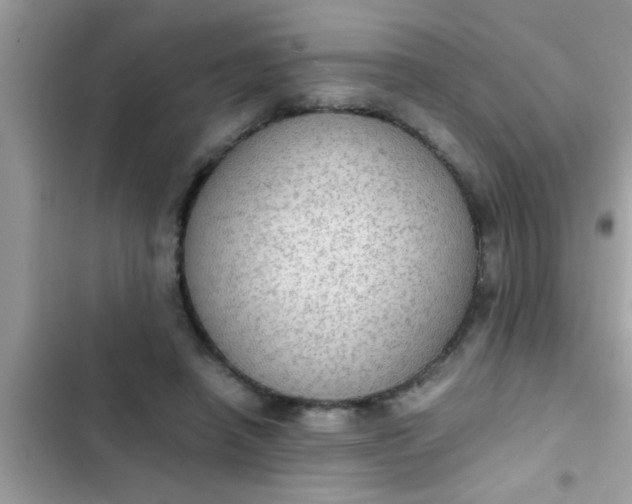 X0000102390450200808151924