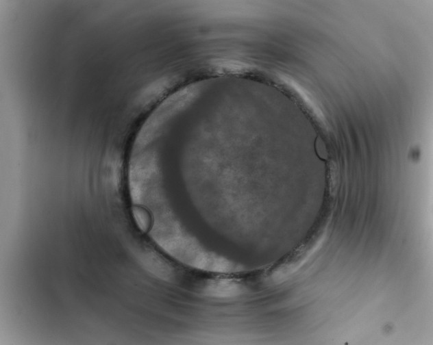 X0000102390451200808151924