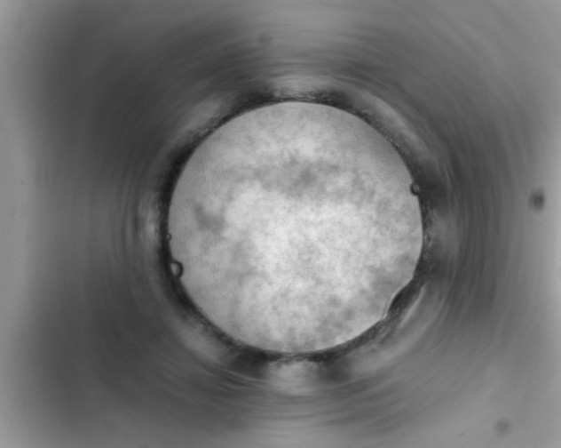 X0000102390452200808151924