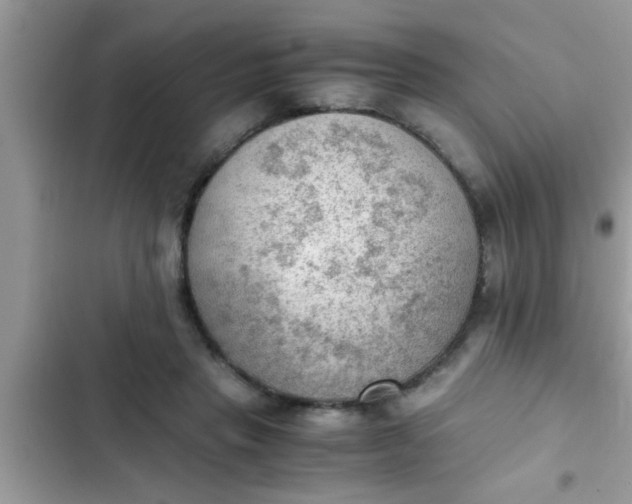 X0000102390453200808151924