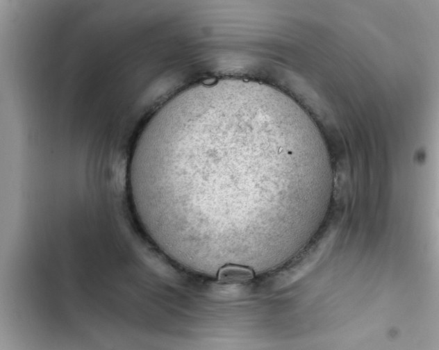 X0000102390454200808151924