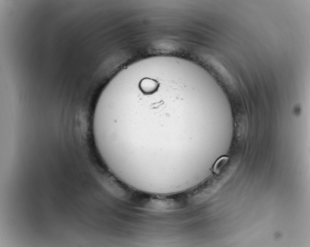 X0000102390455200808151924