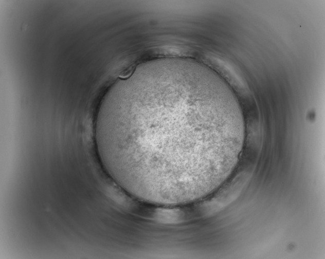 X0000102390457200808151924