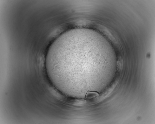 X0000102390458200808151924