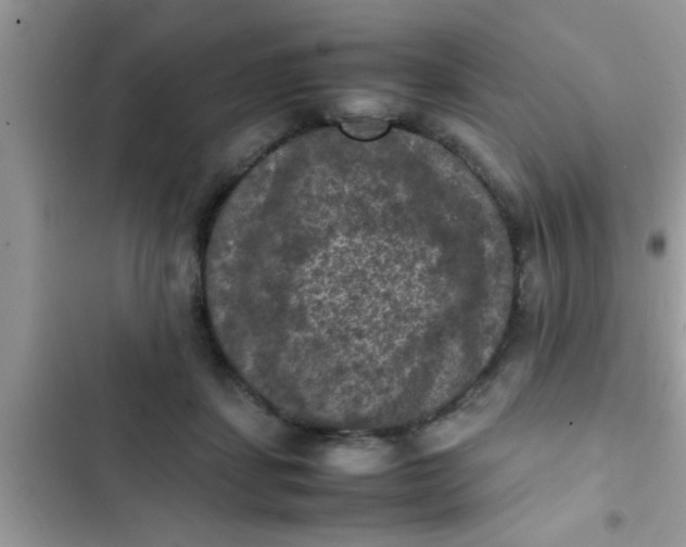 X0000102390459200808151924