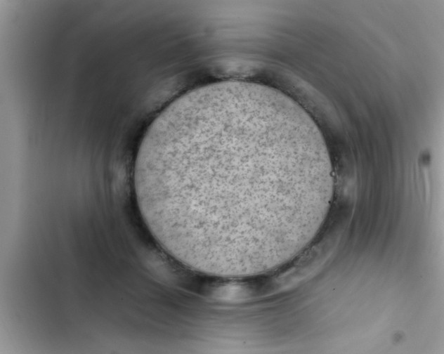 X0000102390460200808151924