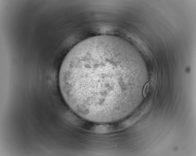 X0000102390461200808151924