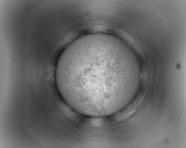 X0000102390462200808151924