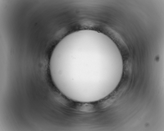 X0000102390463200808151924