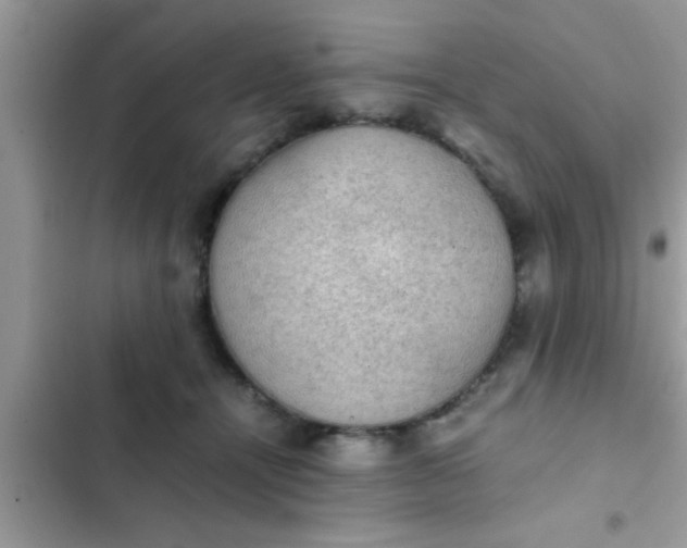 X0000102390464200808151925