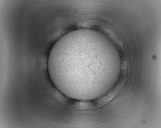 X0000102390466200808151925